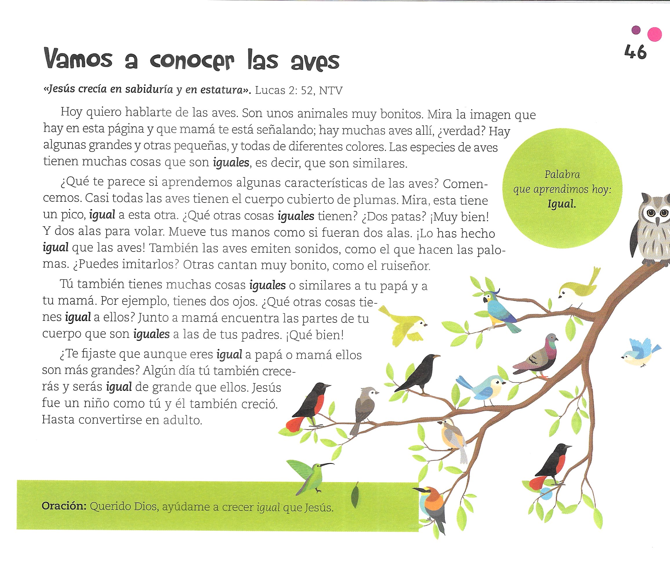 Página ilustrada del devocional