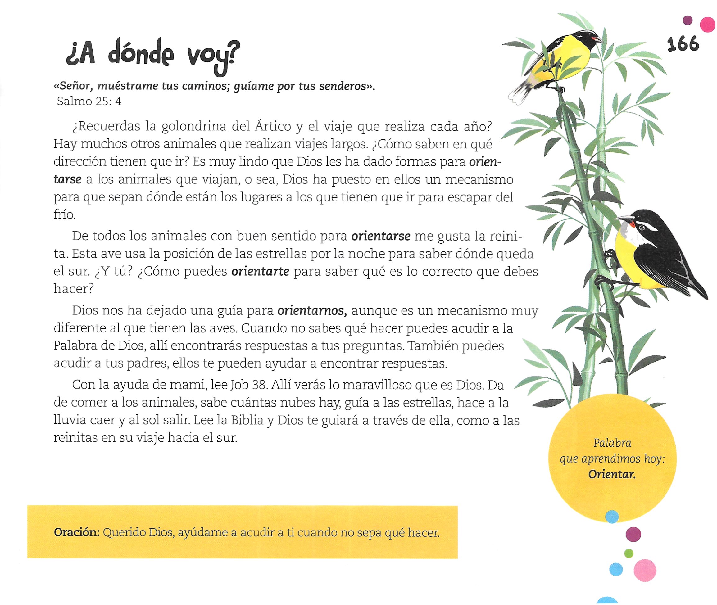 Página ilustrada del devocional