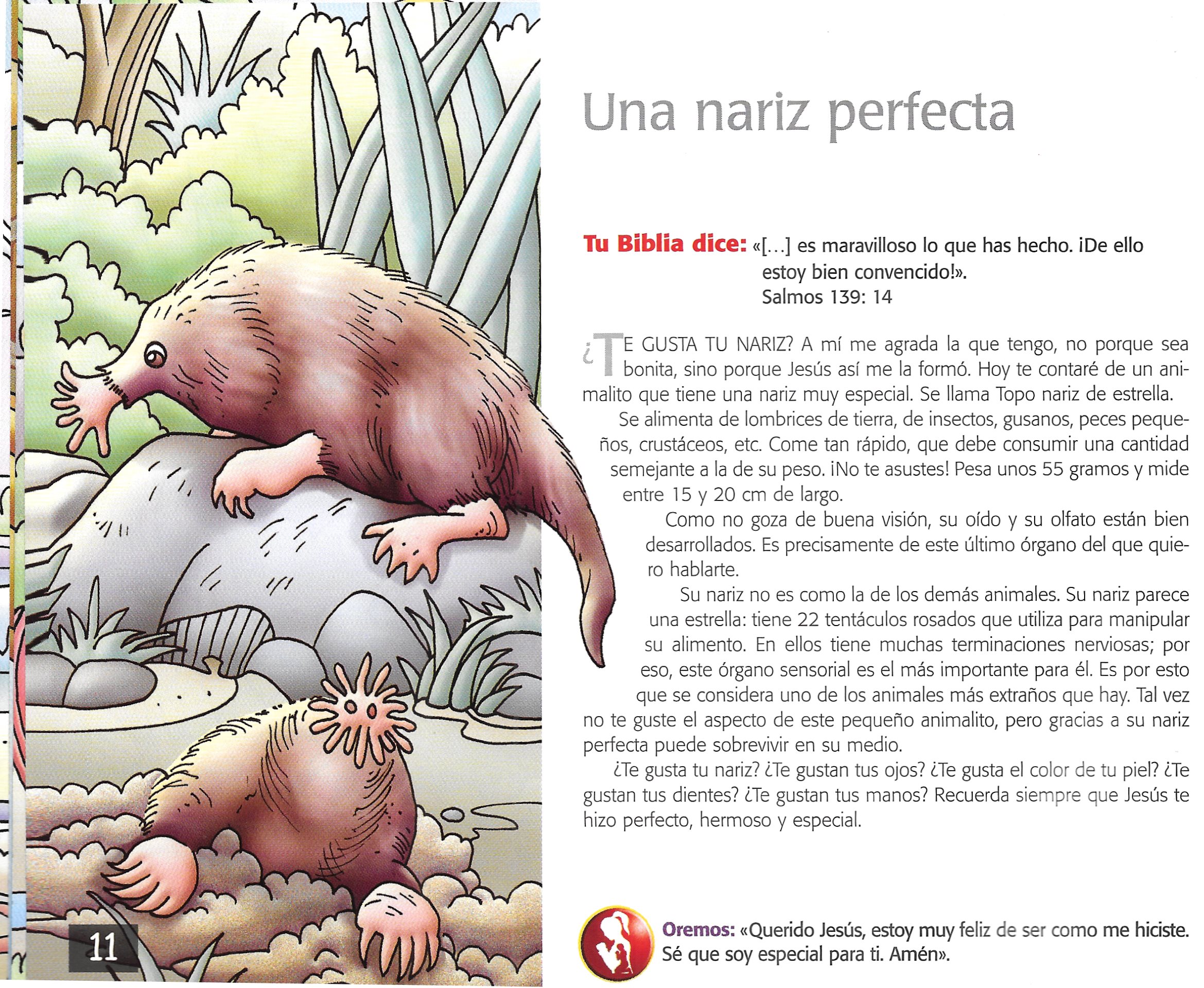 Página ilustrada del devocional