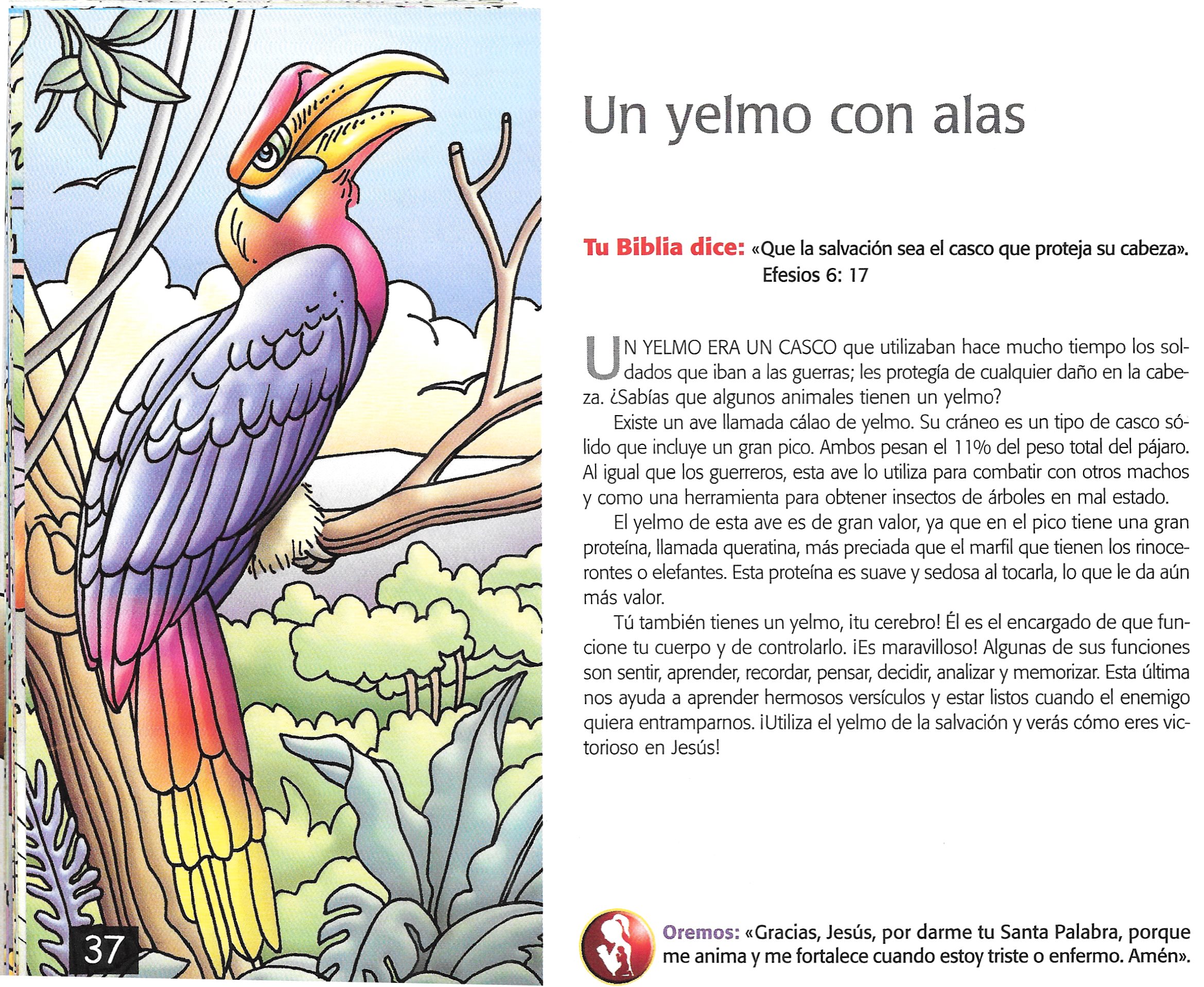 Página ilustrada del devocional