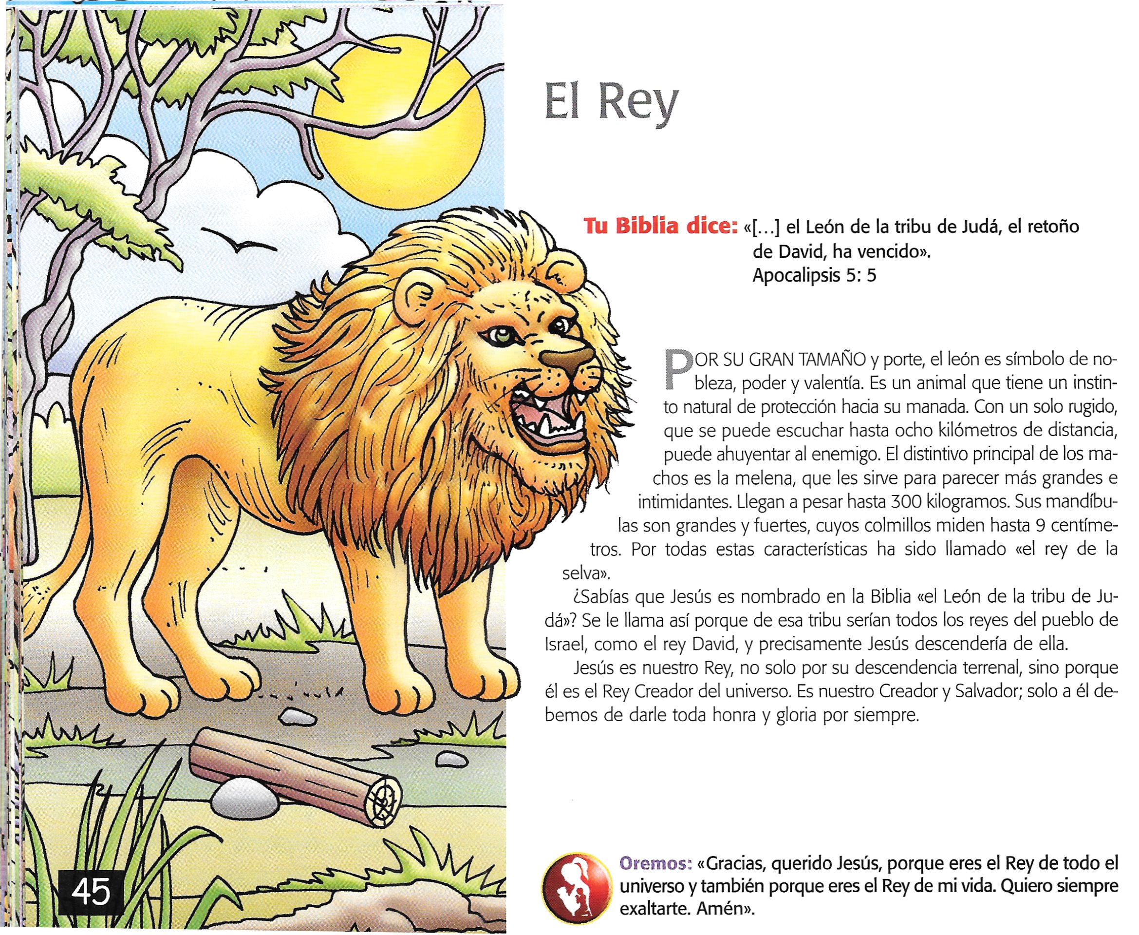 Página ilustrada del devocional