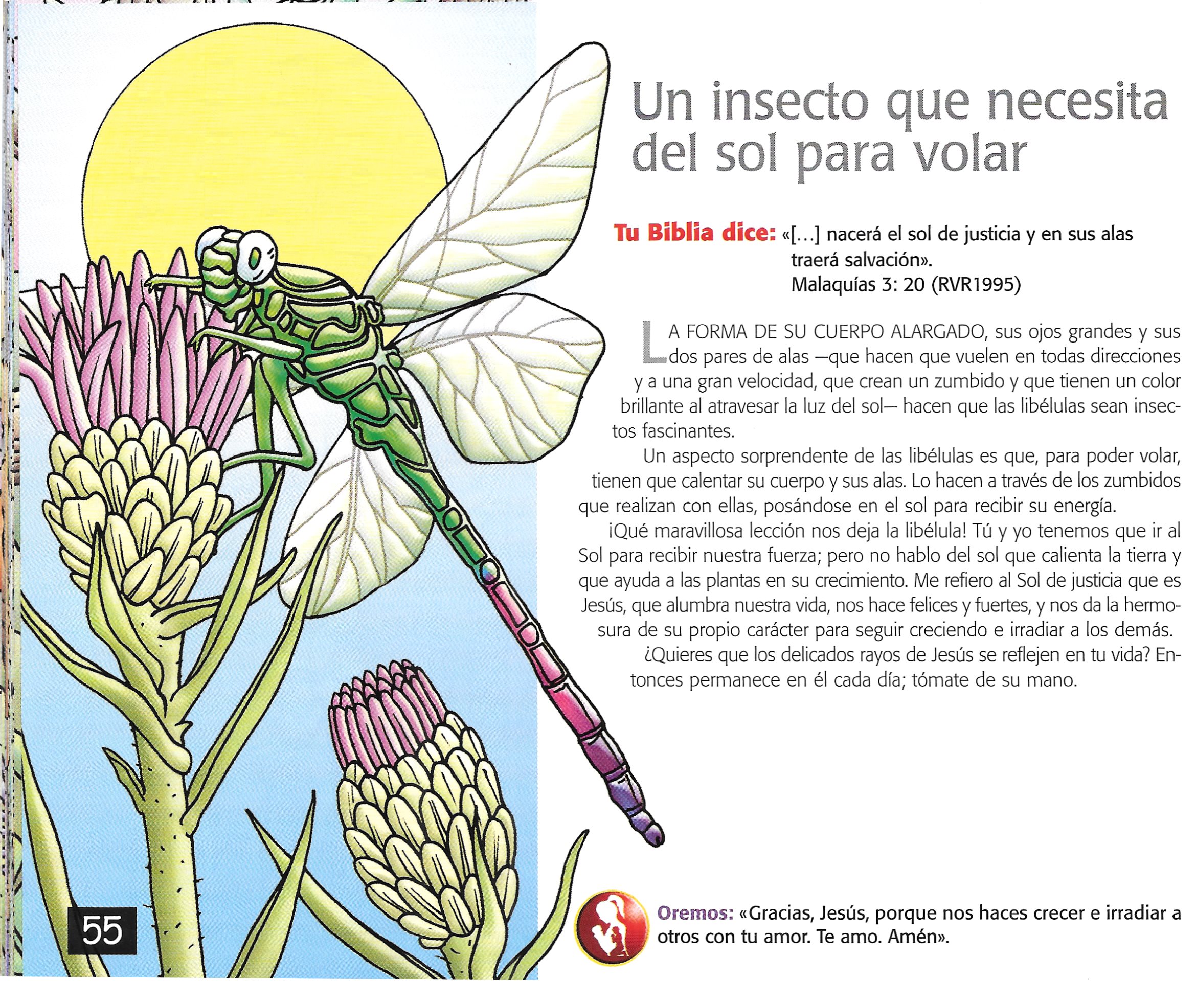 Página ilustrada del devocional
