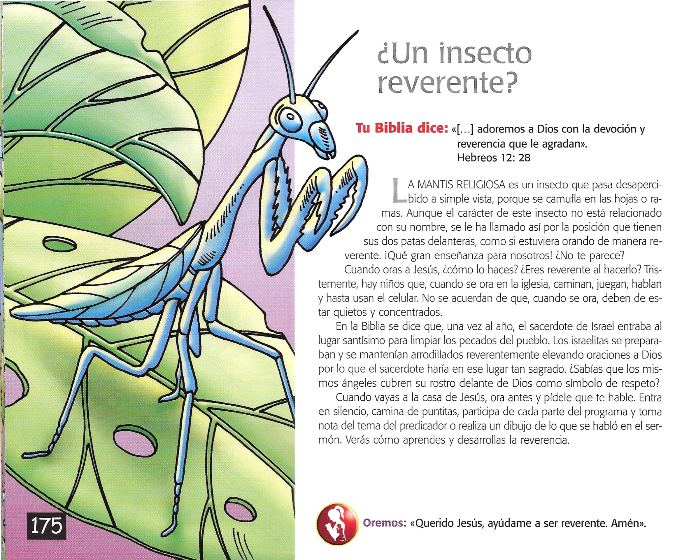 Página ilustrada del devocional