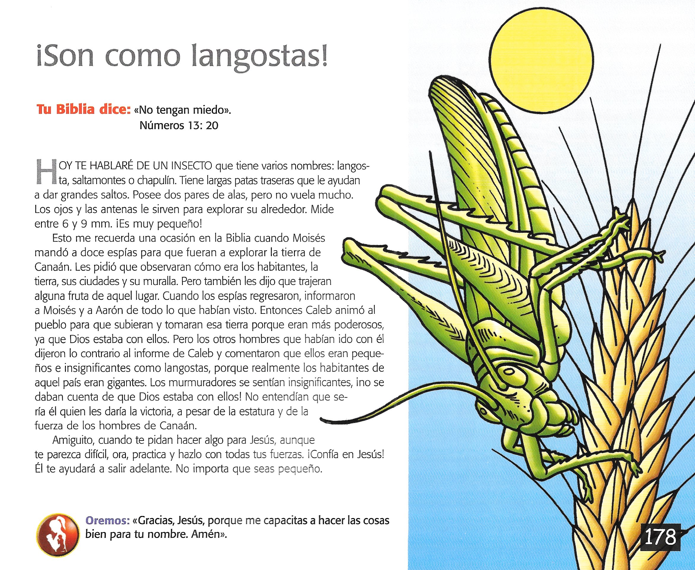 Página ilustrada del devocional