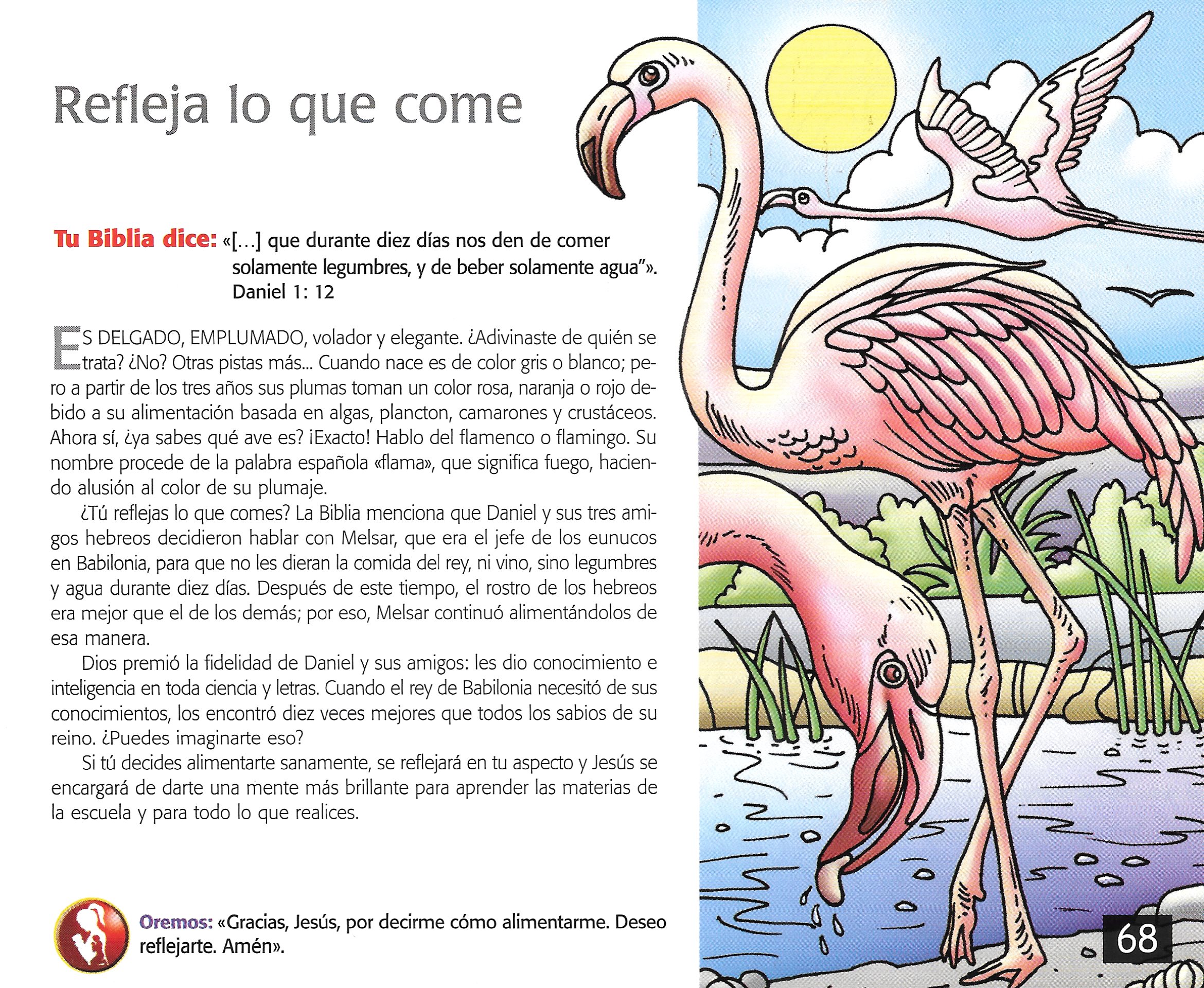 Página ilustrada del devocional