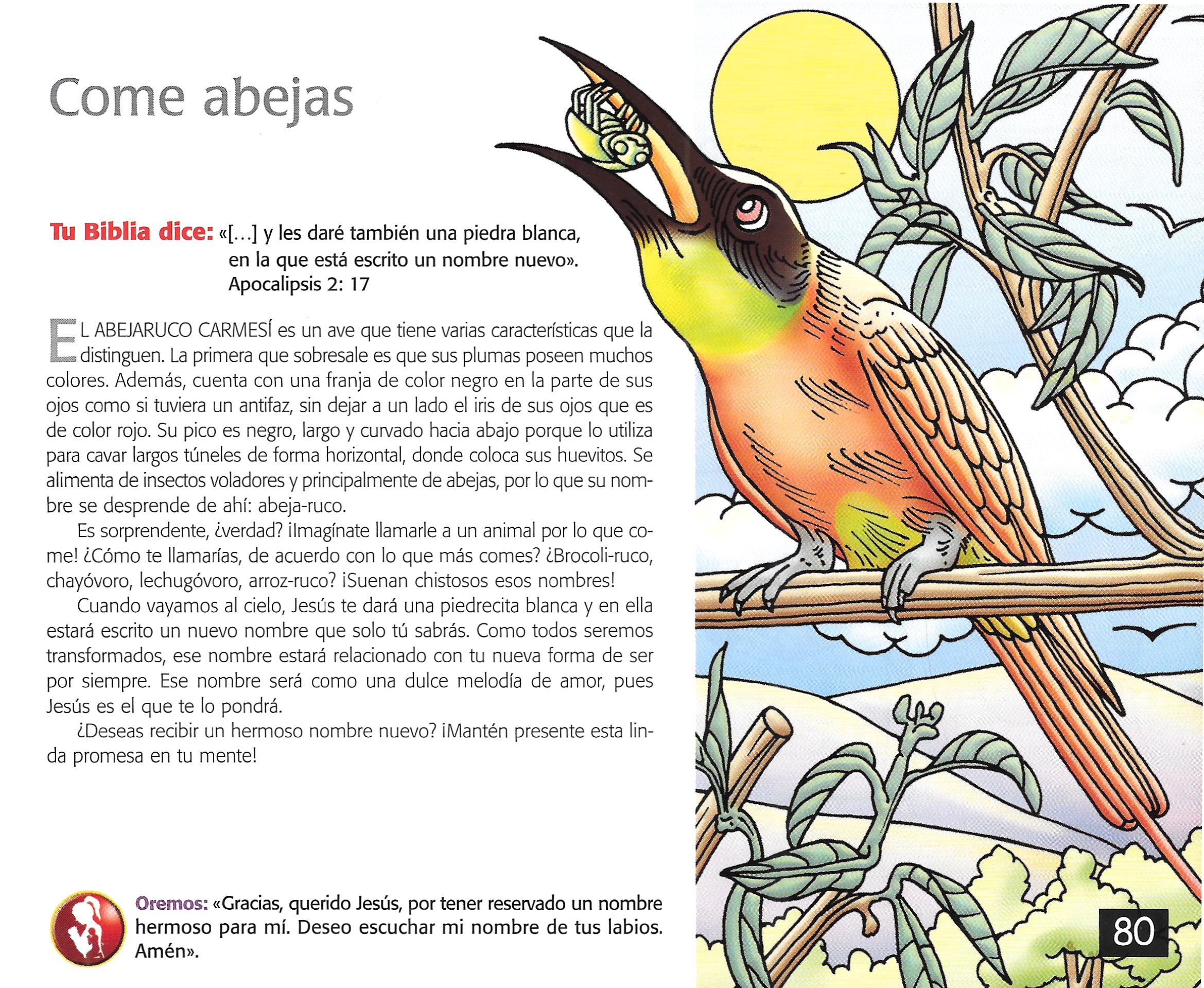 Página ilustrada del devocional