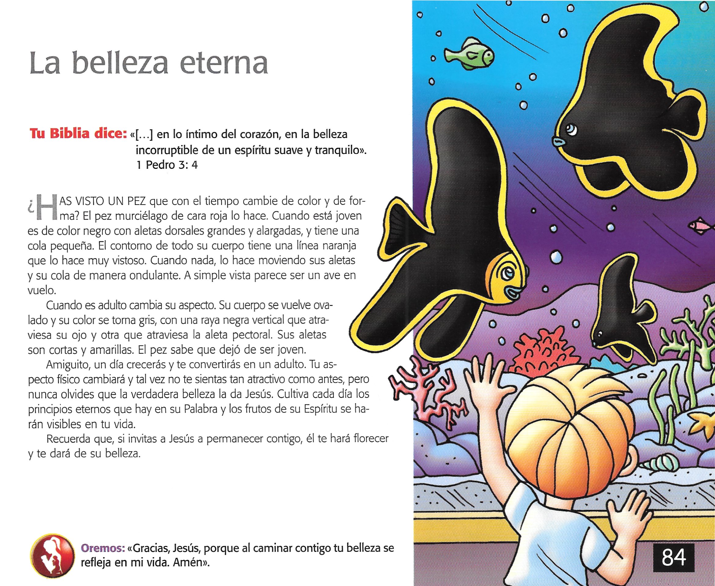 Página ilustrada del devocional