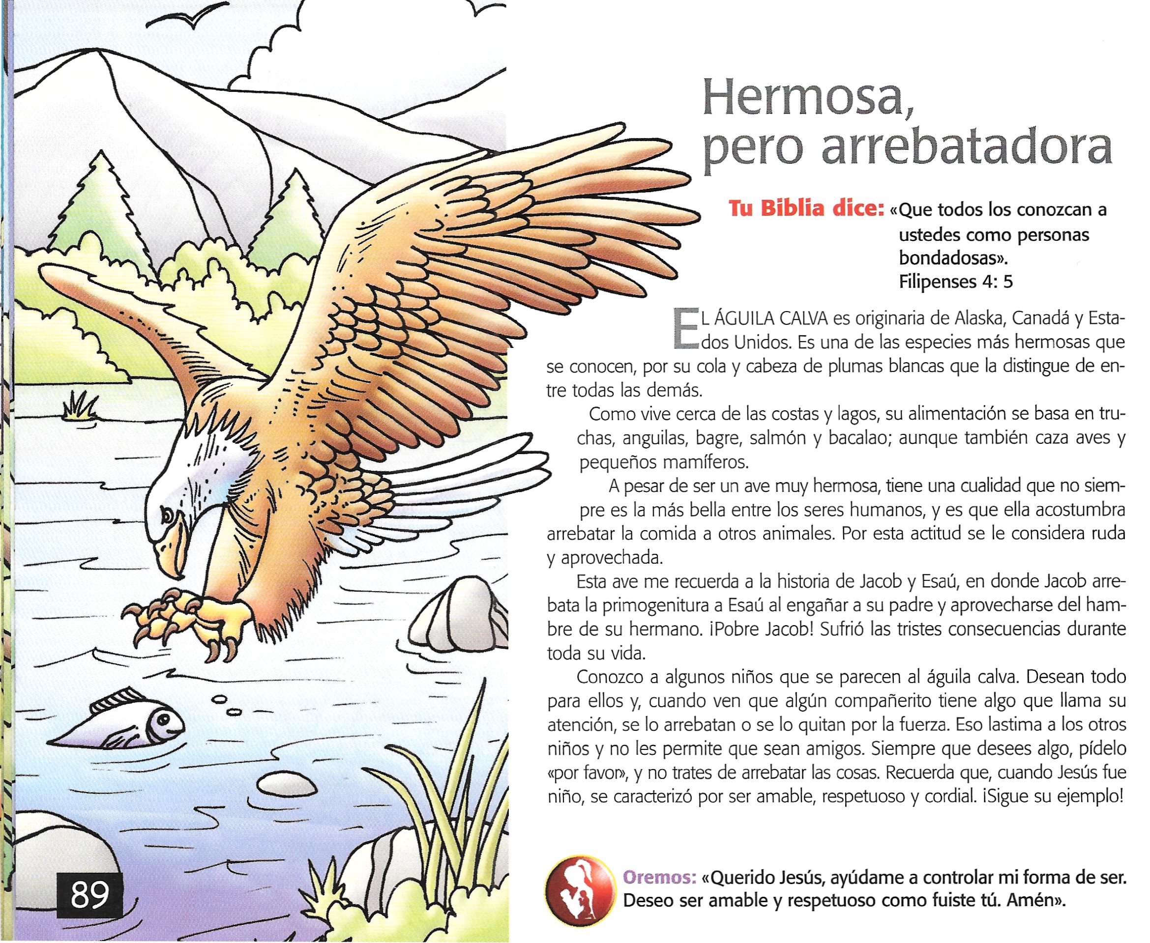 Página ilustrada del devocional