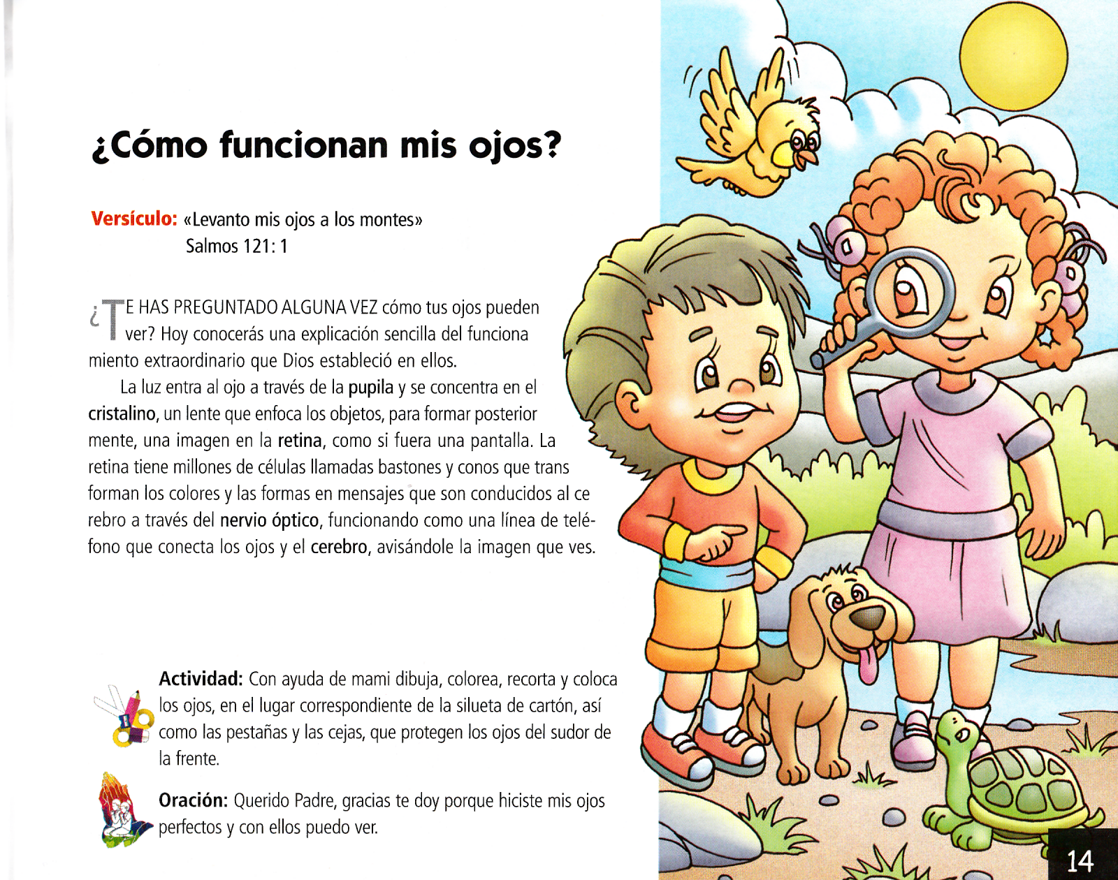 Página ilustrada del devocional