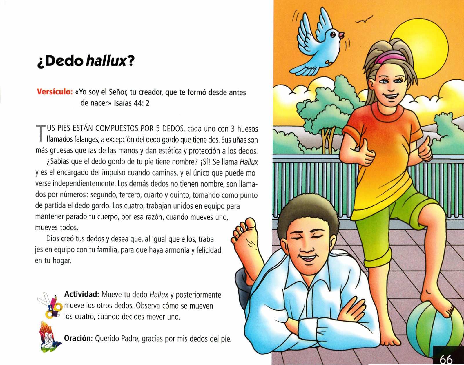 Página ilustrada del devocional