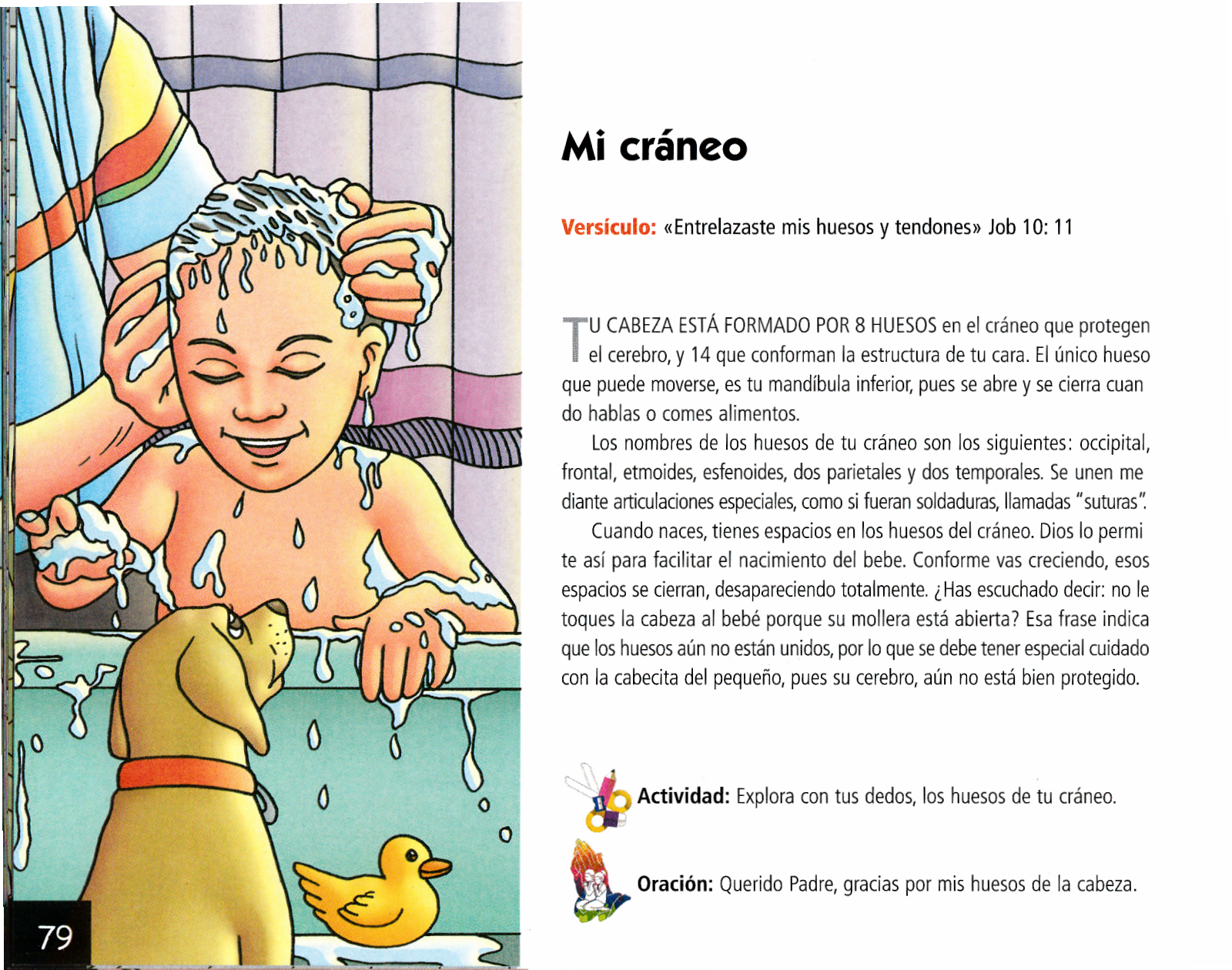 Página ilustrada del devocional