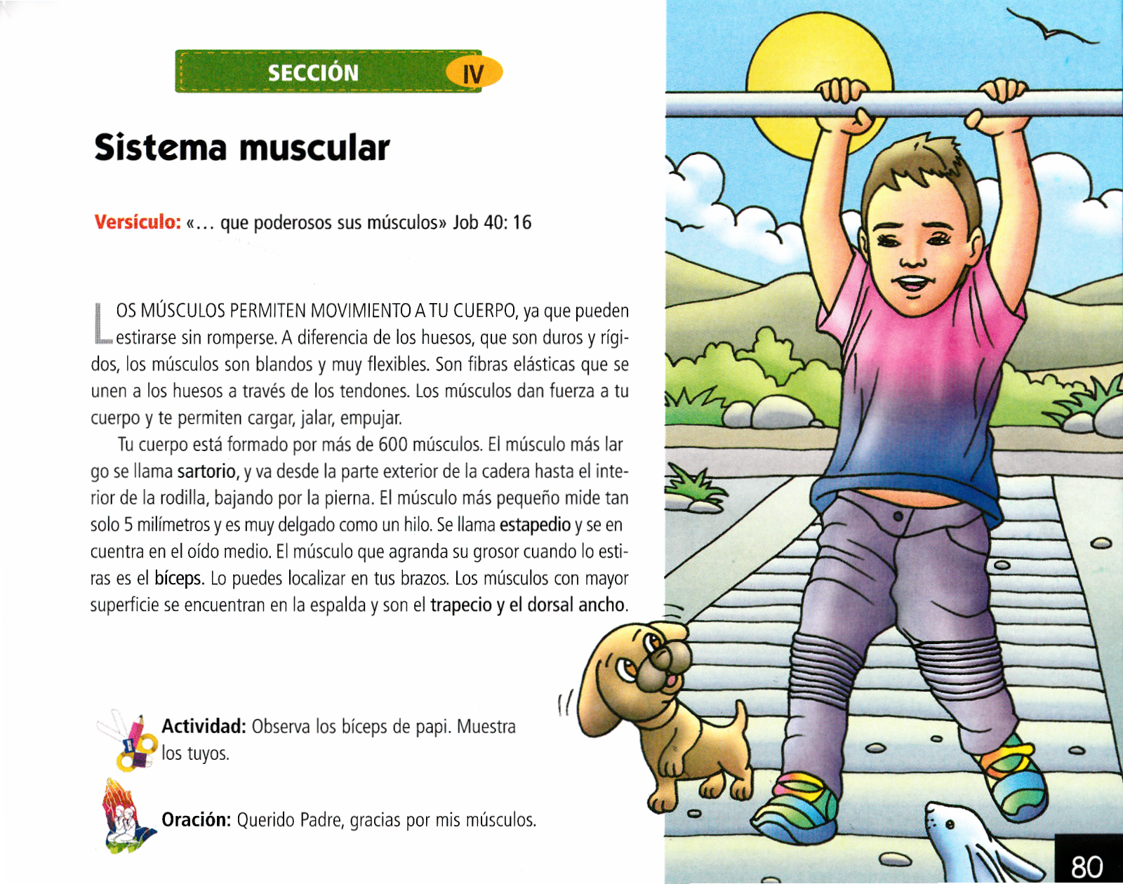 Página ilustrada del devocional