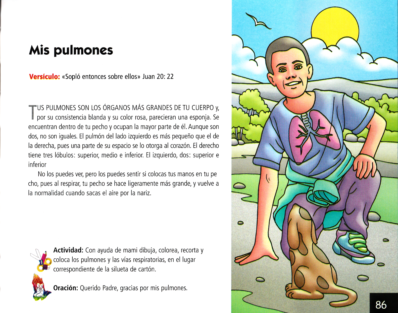 Página ilustrada del devocional