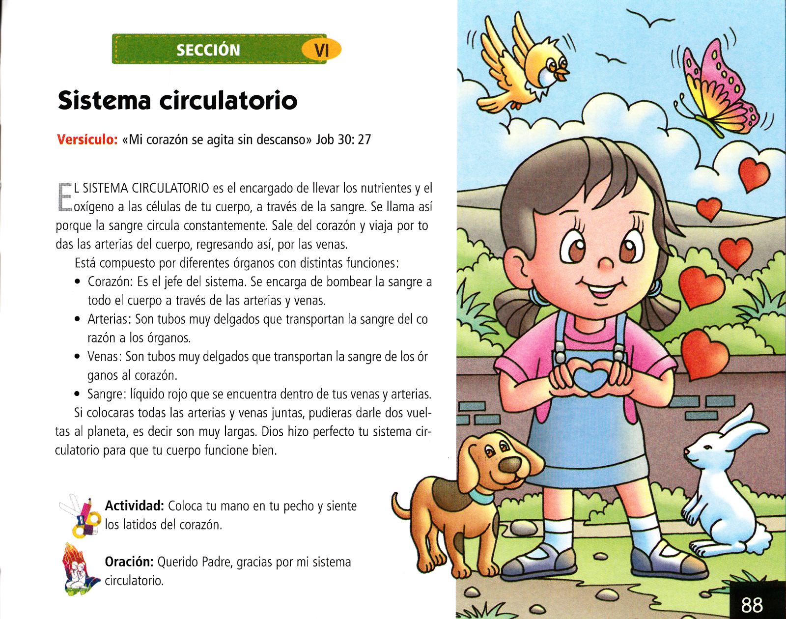 Página ilustrada del devocional